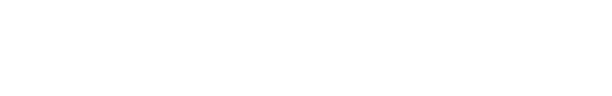 TheITIN logosu